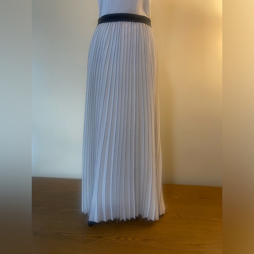 Max Studio Pleated Maxi Skirt